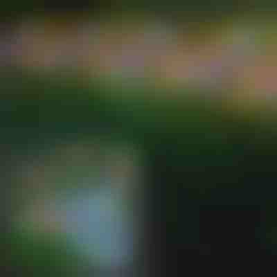 Ηλιακά υπαίθρια φώτα πεταλούδας | FLUTIX