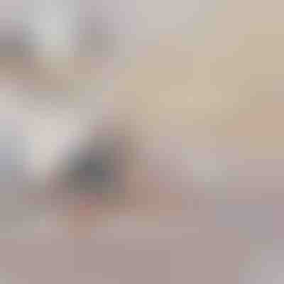 Φουσκωτός καναπές-κρεβάτι | SOFLINKA