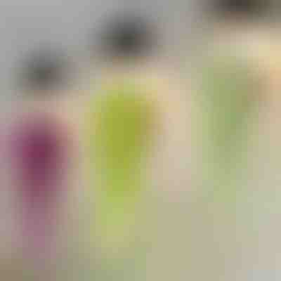 Διακοσμητικό κρεμαστό φυτό | IVYORA