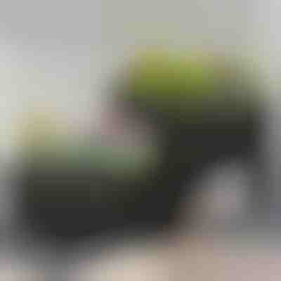 Κουτί φυτέματος κήπου | BOTANITKO