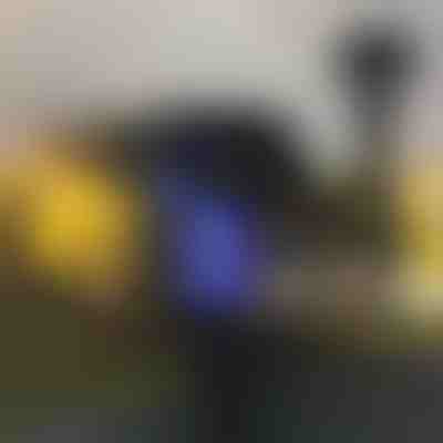 Εξωτερική λάμπα απώθησης κουνουπιών (2pcs) | SOLARBUZZ