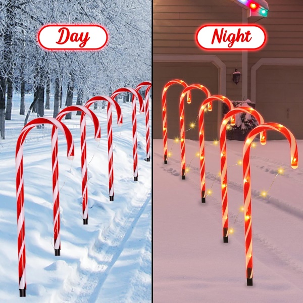 JOLLYCANE17697__080725